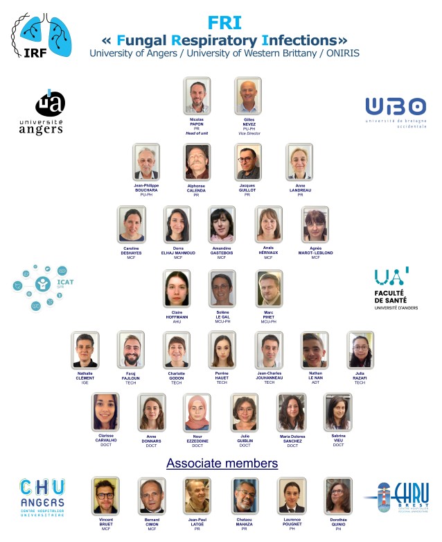 FRI Organisation chart