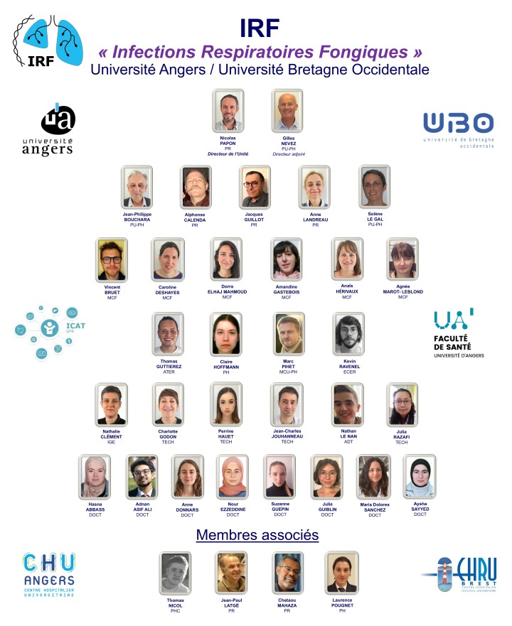 Organigramme IRF septembre 2026